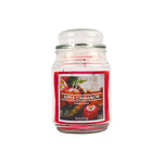 Jar Candle True Living Apple Cinnamon Scented Candle 18oz