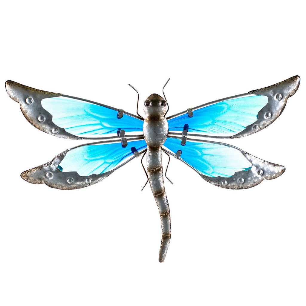 Dazed the Dragonfly