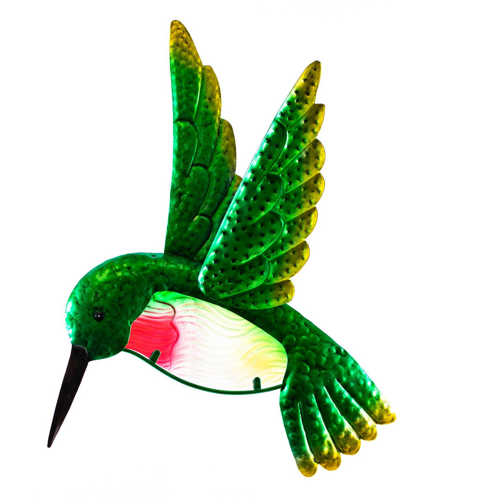 Honey the Hummingbird