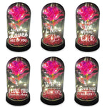Glass Dome Rose Keepsake Love Assortment