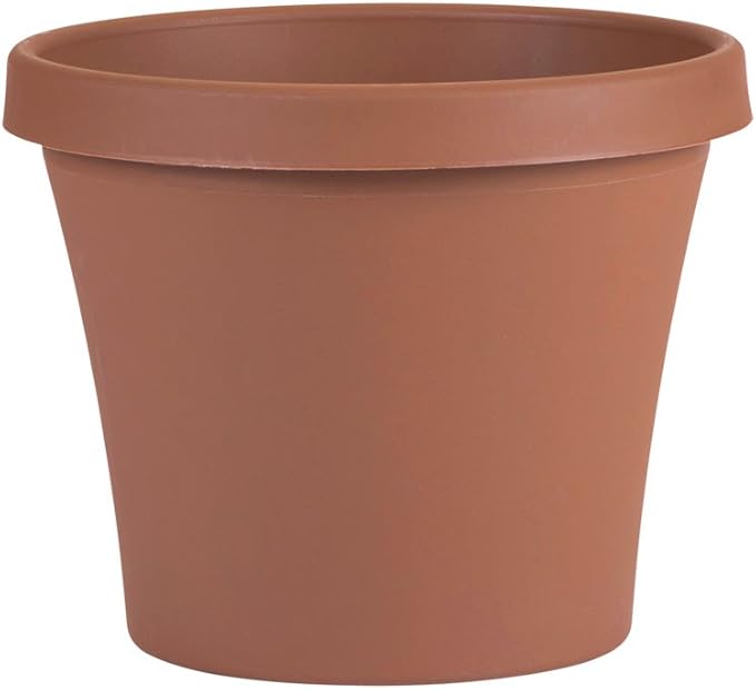 Bloem Terra Pot Planter - 8"