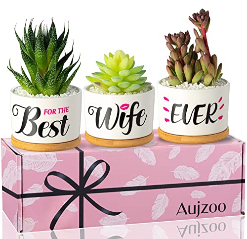 Best Wife Ever, for Wife Valentines Day Anniversary Women's Day, Birthday Gifts for Her - Creative Present for Wife, Garden Decor Planter Succulent Pots