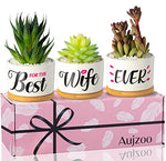 Best Wife Ever, for Wife Valentines Day Anniversary Women's Day, Birthday Gifts for Her - Creative Present for Wife, Garden Decor Planter Succulent Pots