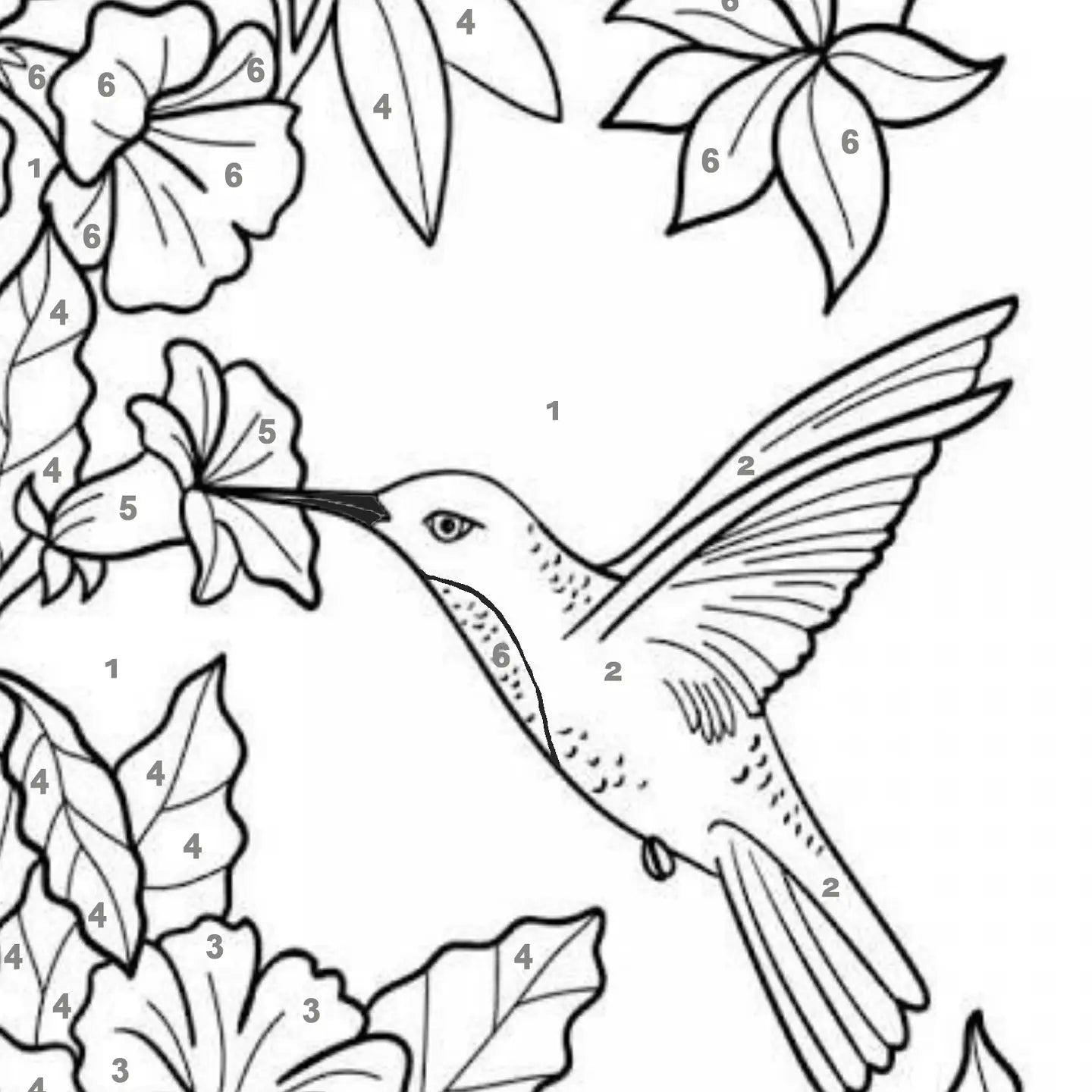 Canvas Paint Set - Color By Number, 7.5 X 11.4 X 0.6in-Hummingbird