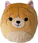 Squishmallows 10" Sandro The Chow Chow