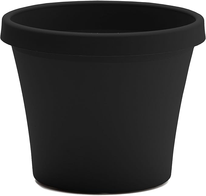 Bloem Terra Pot Planter - 8"