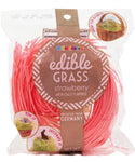 Edible Candy Easter Grass Strawberry (Best By: 8/30/27)