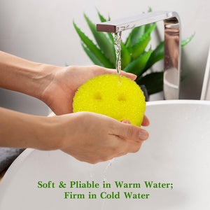 Dual Sided Sponge and Scrubber, Free Multipurpose Dishwashing, Stain & Odor Resistant Kitchen Cleaning Sponges - Multi-Functional Premium (3 PCS)