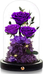 Flowers Roses Gifts for Mom Grandma,Forever Preserved Rose in Glass Dome, Mothers Day Anniversary Thanksging Birthday Real Roses Gifts for Wife Women Mother in Law/Purple