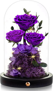 Flowers Roses Gifts for Mom Grandma,Forever Preserved Rose in Glass Dome, Mothers Day Anniversary Thanksging Birthday Real Roses Gifts for Wife Women Mother in Law/Purple