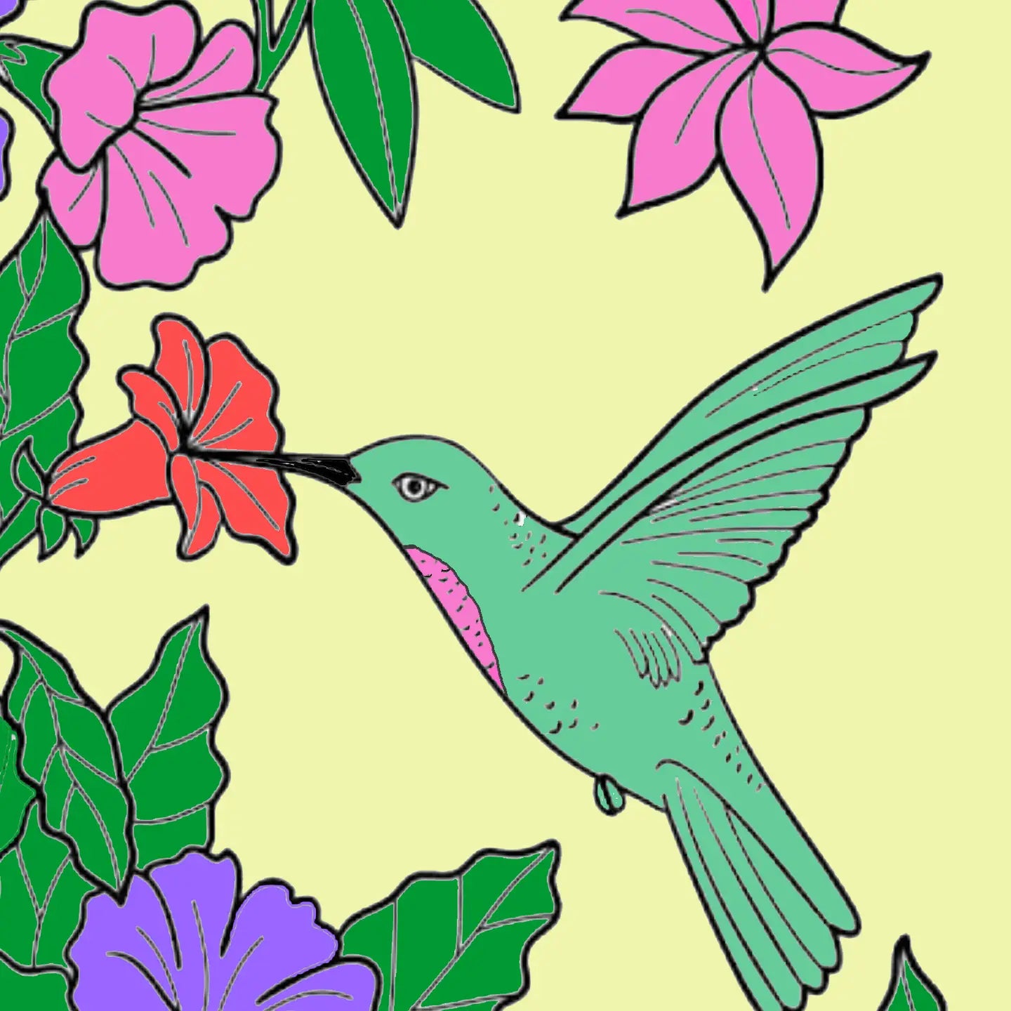 Canvas Paint Set - Color By Number, 7.5 X 11.4 X 0.6in-Hummingbird