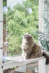 Pets Alike Tan Cat Window Perch with Enrichment Toy - Large Cat Bed, Heavy Duty Suction Cups, PVC Pipe Frame, Washable Material