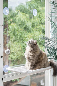 Pets Alike Tan Cat Window Perch with Enrichment Toy - Large Cat Bed, Heavy Duty Suction Cups, PVC Pipe Frame, Washable Material