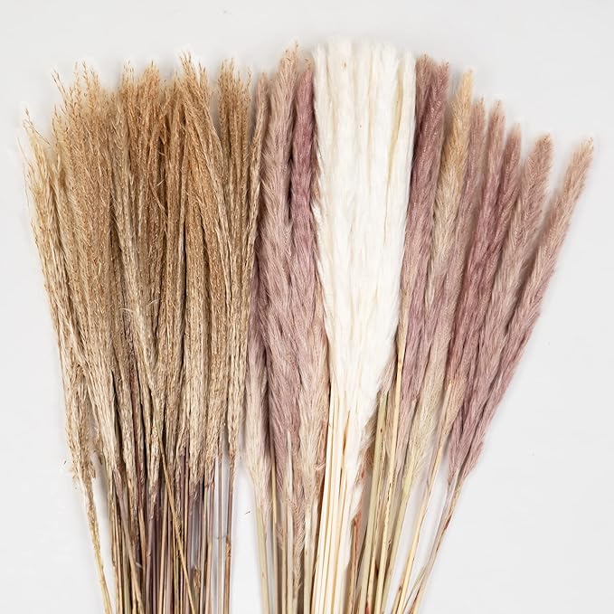 Natural Dried Pampas Grass 80 Piece Bouquet