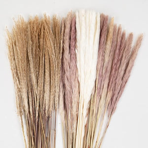 Natural Dried Pampas Grass 80 Piece Bouquet
