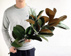 32 Inch Magnolia Artificial Leaves Branches 3D Plastic Printing Houseplant Plant Indoor Outdoor Home Decor (Dark Green - Pack of 2)