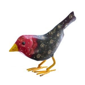 Bean the Bird