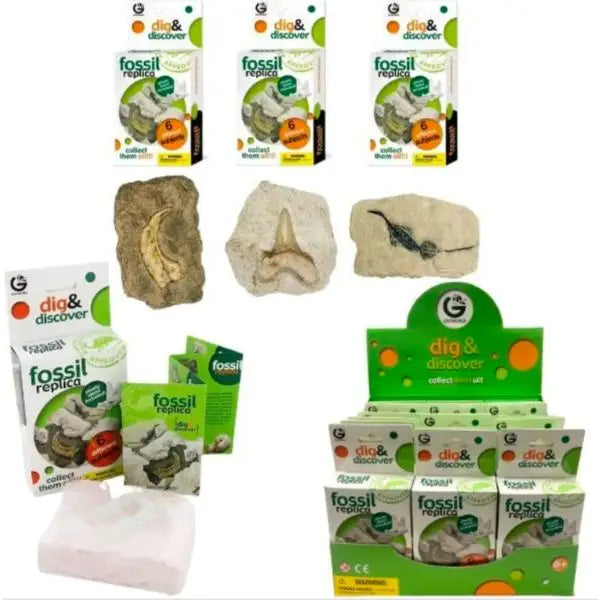 Dig And Discover - Geoworld Fossil Replica Science STEM Learning