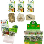 Dig And Discover - Geoworld Fossil Replica Science STEM Learning