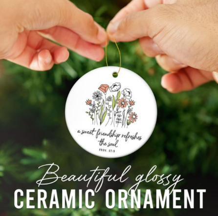 HEXMOZ Friend Christmas Ornament - Christian Friendship Gifts for Women Friends, Best Friends Religious, Inspirational Bible Verse Proverbs 27:9 - A Sweet Friendship Refreshes The Soul Scripture