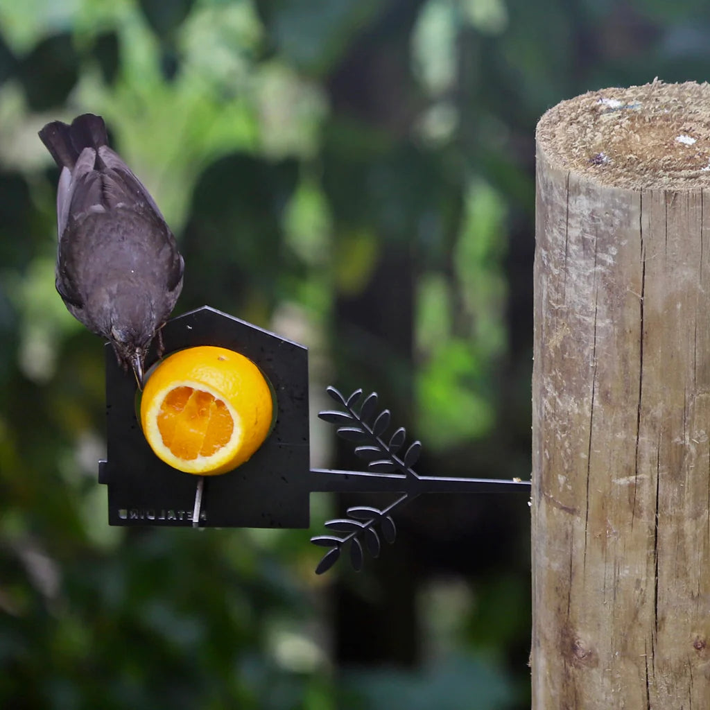 Metal House Bird Feeder