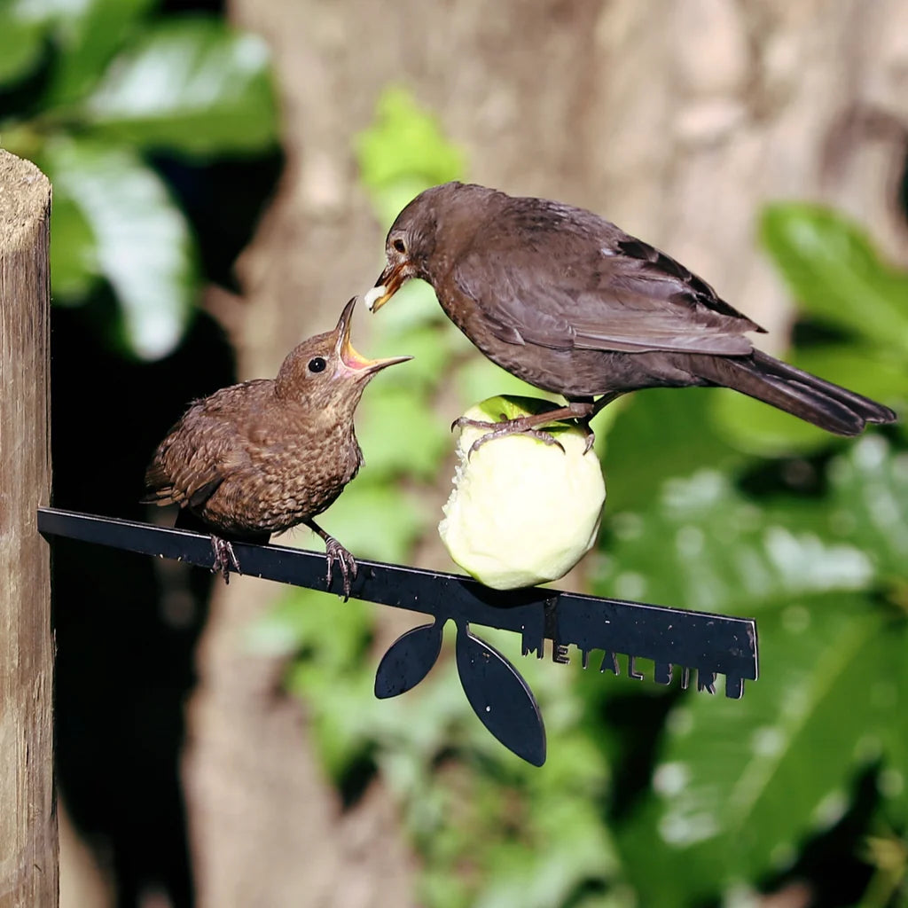 Metal Stick Bird Feeder