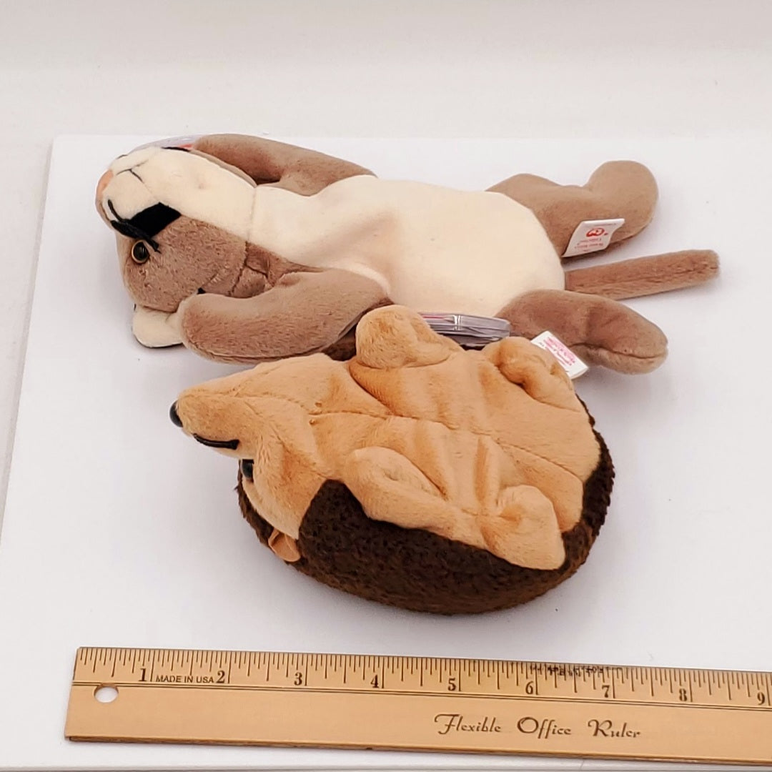 1998 Beanie Babies 2 Pack-Canyon the Cougar and Prickles the Hedgehog