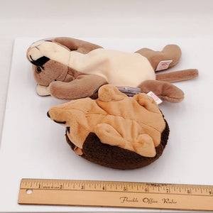 1998 Beanie Babies 2 Pack-Canyon the Cougar and Prickles the Hedgehog