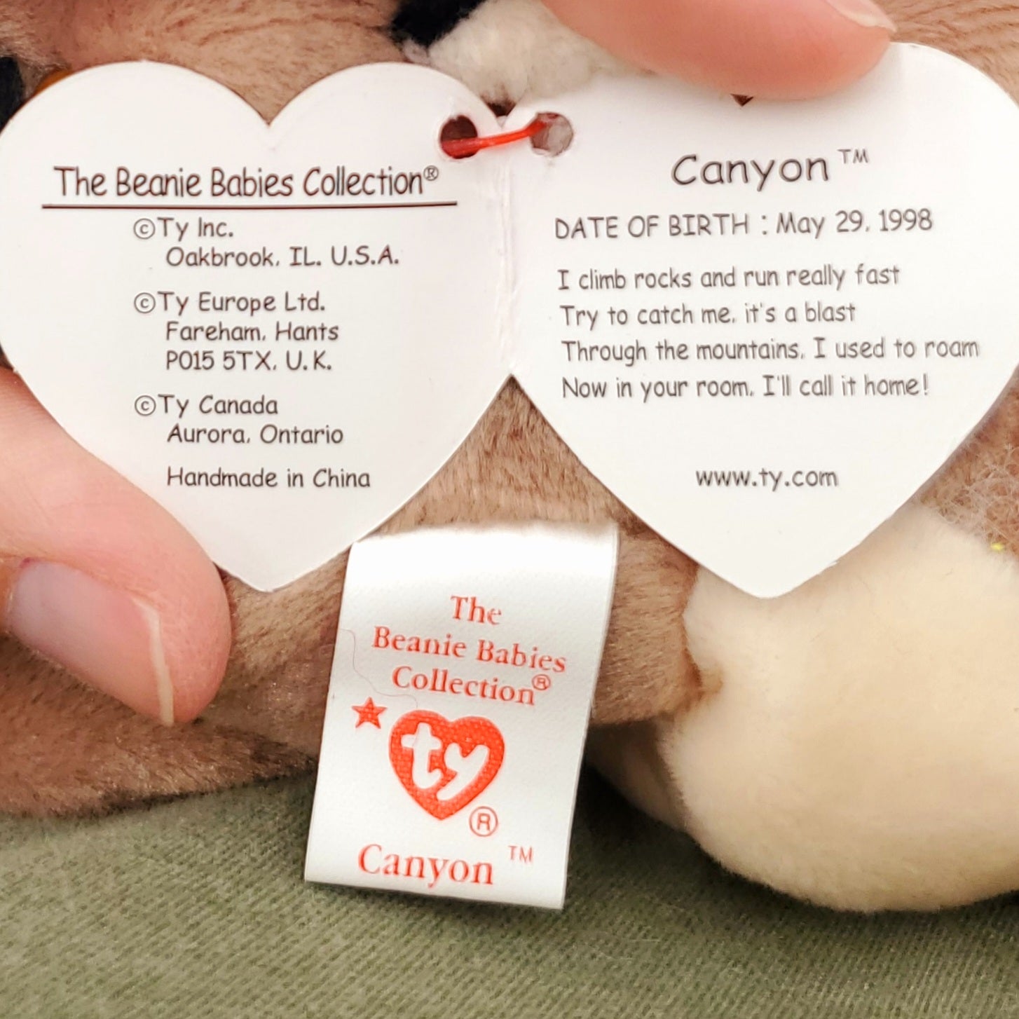 1998 Beanie Babies 2 Pack-Canyon the Cougar and Prickles the Hedgehog