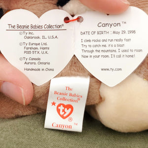 1998 Beanie Babies 2 Pack-Canyon the Cougar and Prickles the Hedgehog