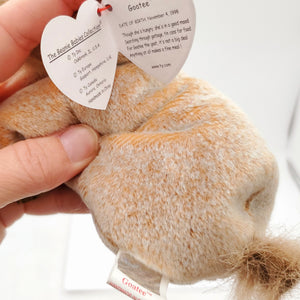 1998 Beanie Babies 2 Pack- Ewey the Lamb and Goatee the Goat