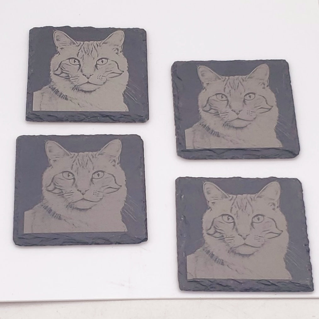 4 pack Cat Slate Coater Set