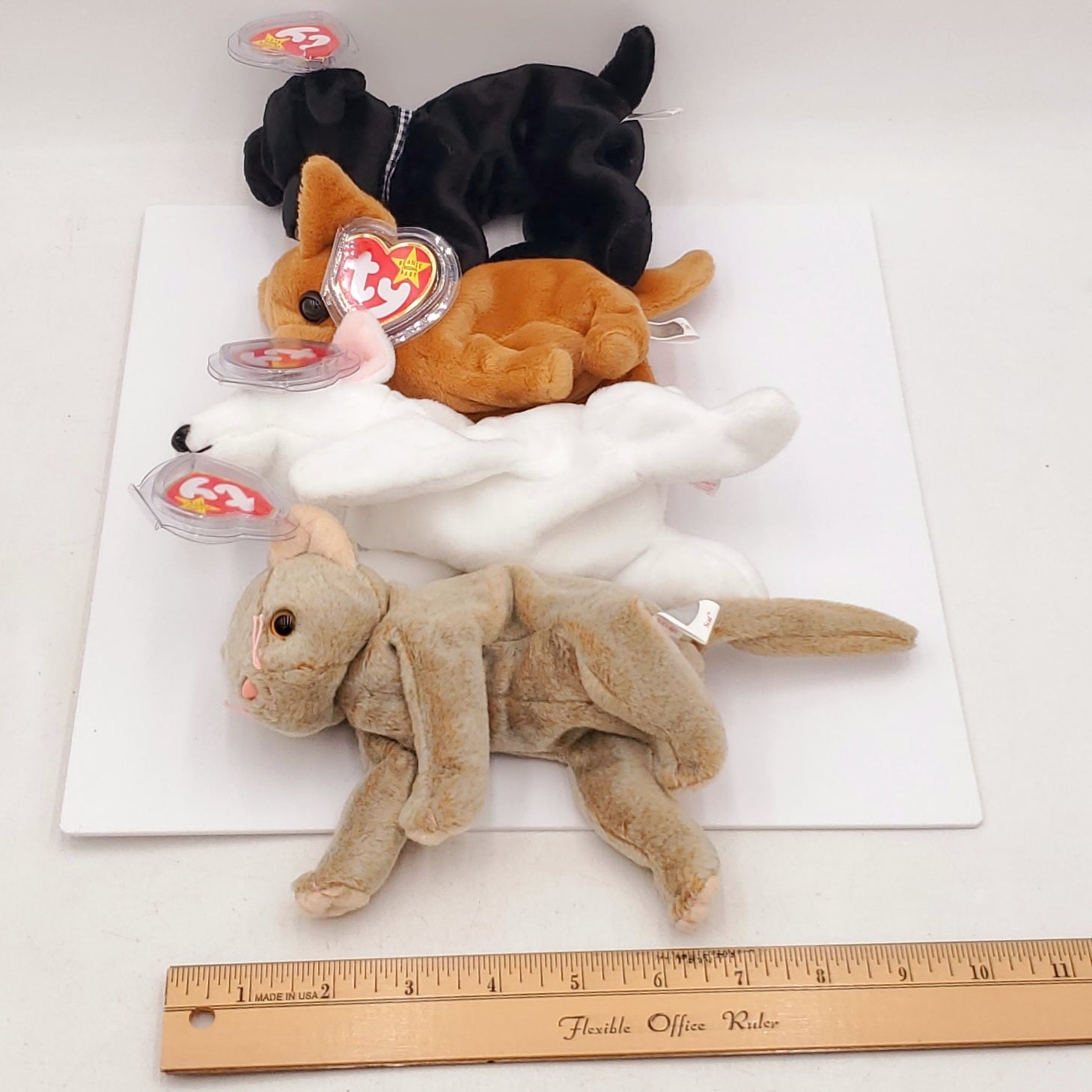 1998 Beanie Babies 2 Pack- Scat the Cat, Butch the White Bull Terrier, Tiny the Chihuahua and Luke the Black Labrador
