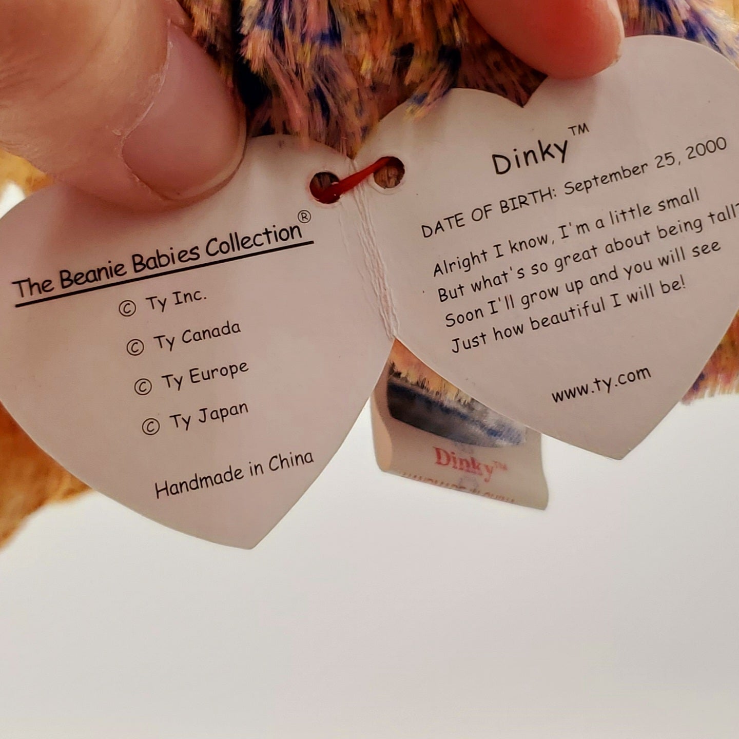 2000 Beanie Babies 2 Pack- Dinky the Duck and  Darling the Dog