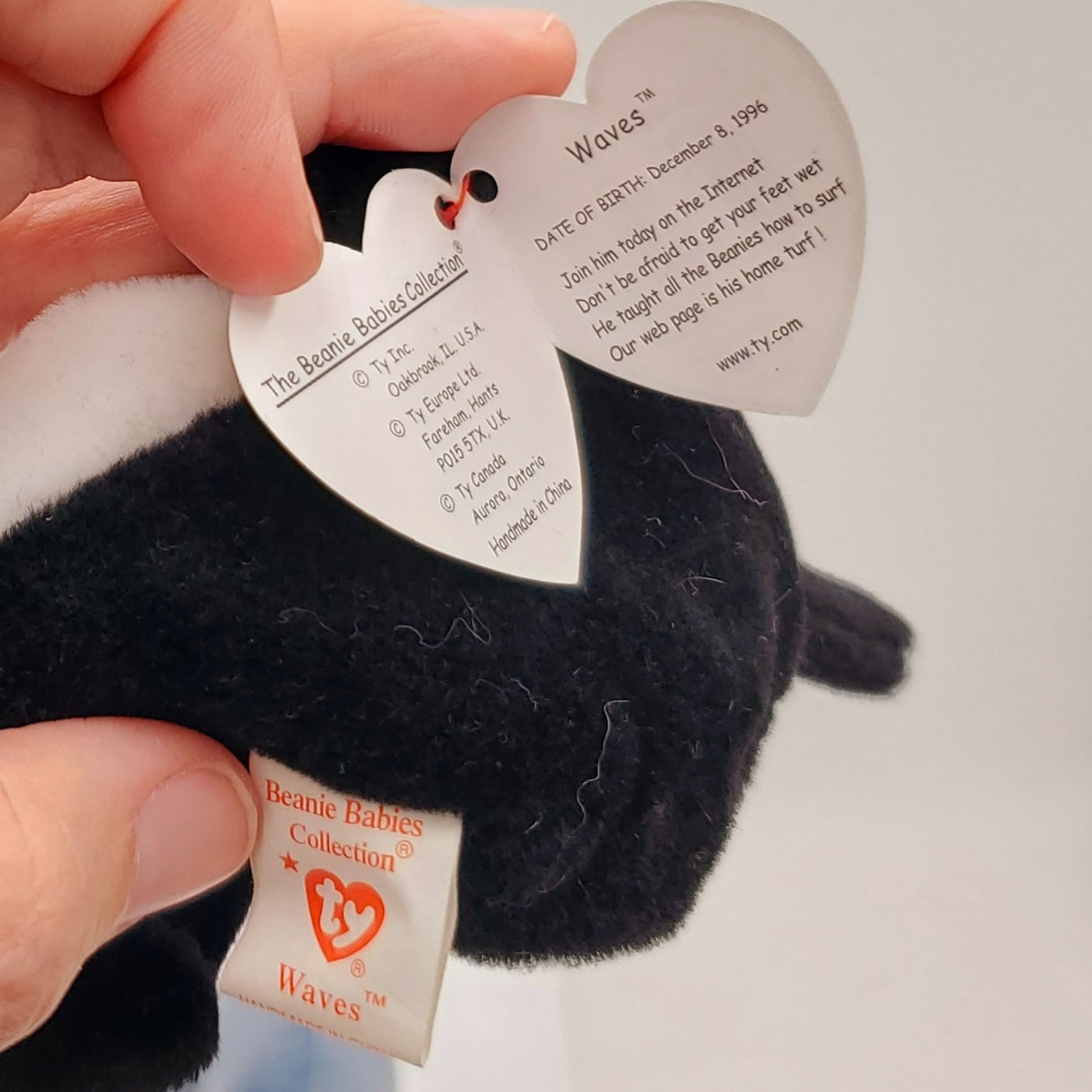 1996 Beanie Babies 2 Pack-Waves the Whale and Echo the Dolphin
