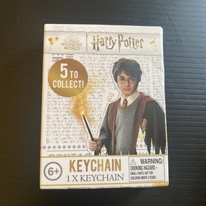 Harry Potter Mystery Keychain